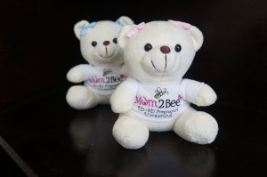 Mom2Bee Teddybear